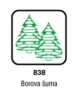 Borova šuma